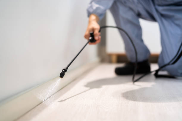 Rodent Entry Point Assessment in Crystal Falls