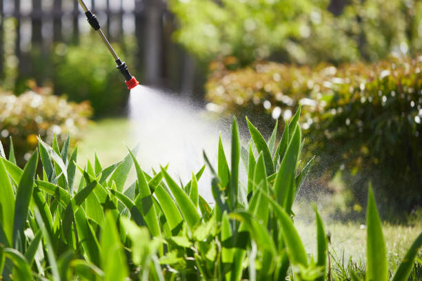 Tamper-Resistant Bait Stations for Rodents in Crystal Falls