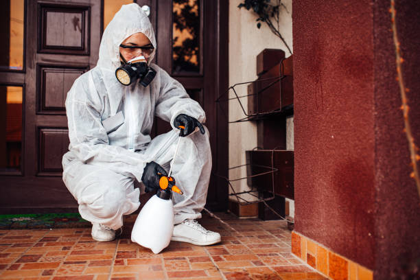 Attic and Crawl Space Rodent Treatment in Crystal Falls