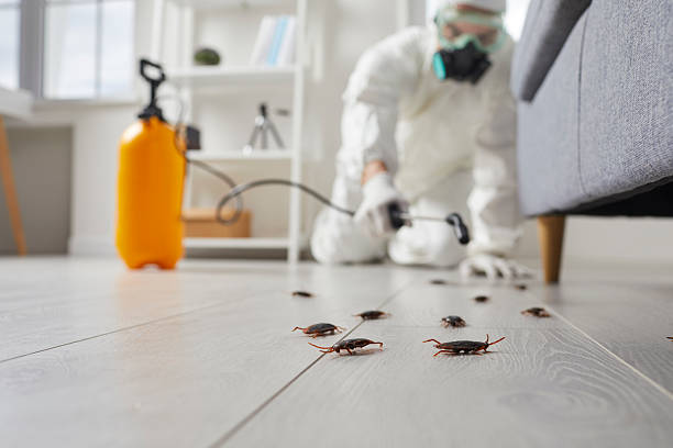 Commercial Rodent Management in Crystal Falls